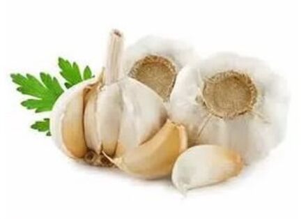 Méthodes pour le traitement des champignons à ongles avec de l'ail