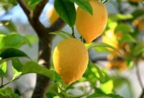 Citron contre le pied d'athlète